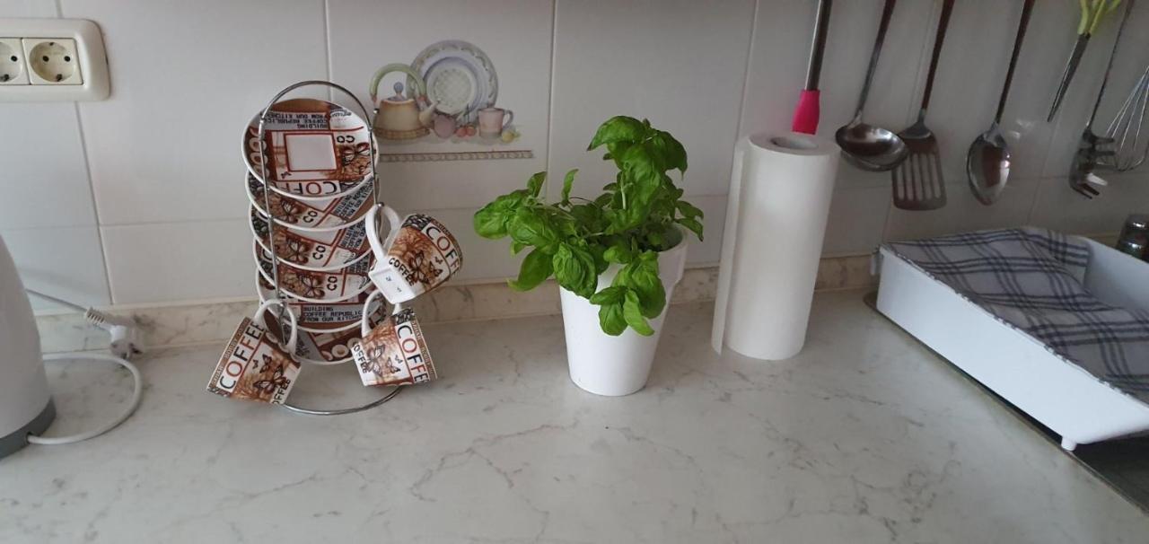 Daisy Appartement Pula Buitenkant foto
